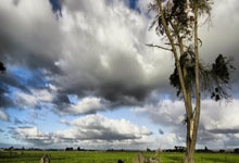 8868体育：媒體人：萬達集團拯救大連“燃眉之急”！.