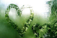 8868体育：亚冬会｜从阿拉木图到哈尔滨，他们在新春祝福中启程.